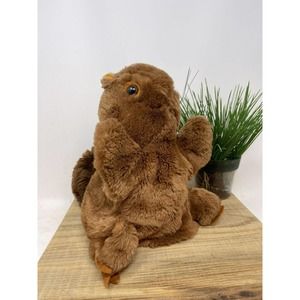 R. Dakin & Co Squirrel Hand Puppet Brown Plush Stuffed Animal 10" 1980 Korea